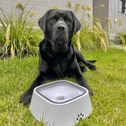 Homejim® Non-Spill Pet Water Bowl